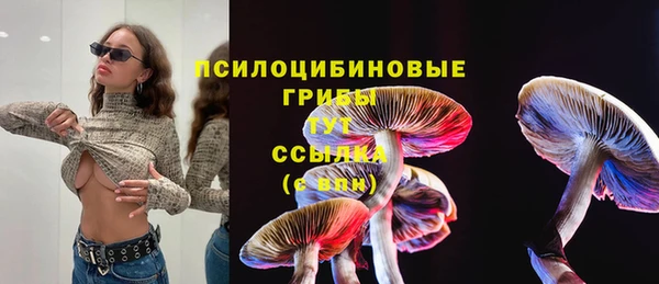 прущие крисы Армянск